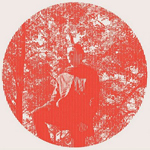 owen pallett - heartland owen pallett heartland Verbicides Top 50 Albums of 2010