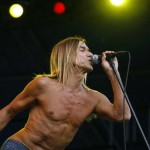 Iggy and the Stooges Working on New Material Iggy and the Stooges Working on New Material