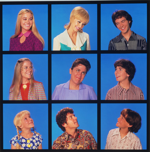 In a recent stupor I rewatched 1995 s The Brady Bunch Movie