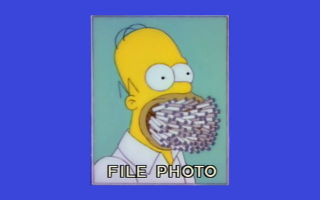 Homer Simpson File Photo