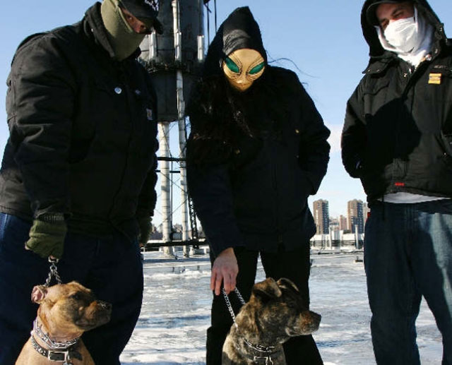 https://www.verbicidemagazine.com/wp-content/uploads/2013/08/caninus.jpg